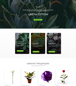 Интернет-магазин цветов "Радуга"