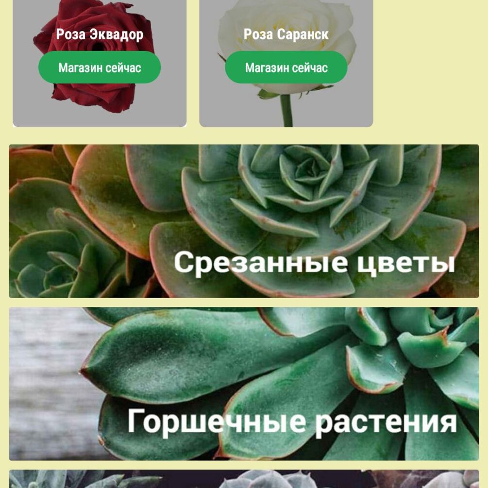 Интернет-магазин цветов "Радуга"