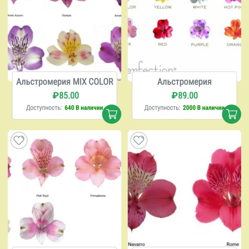 Интернет-магазин цветов "Радуга"