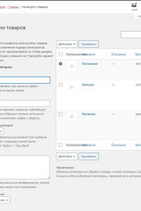 Акция на создание интернет-магазина