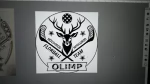 Создание логотипа для флорбольной команды Олимп